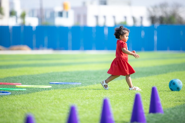 进攻组织的 进攻组织的