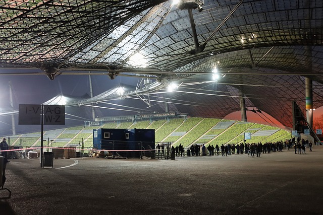 所引领的 所引领的