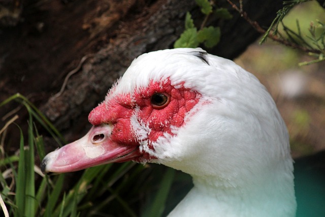 常需要较强 常需要较强