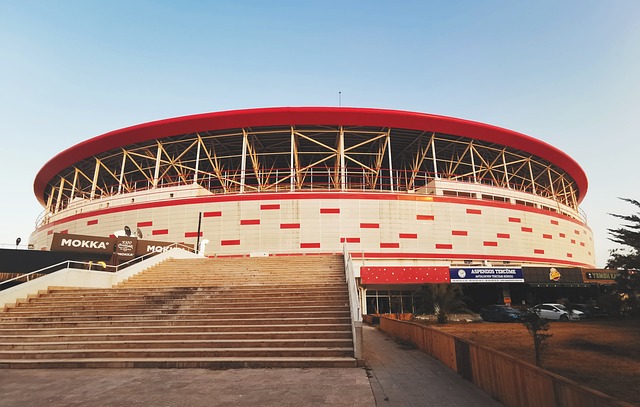 也许能为他 也许能为他