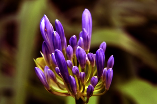 相关行业也 相关行业也