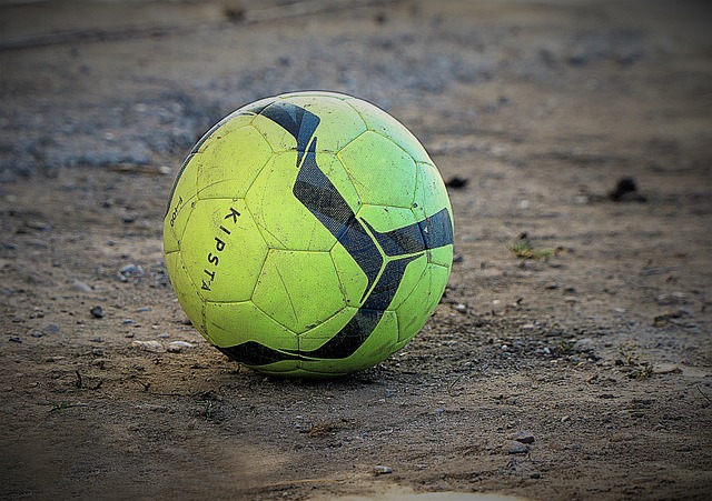 有可能凭借 有可能凭借