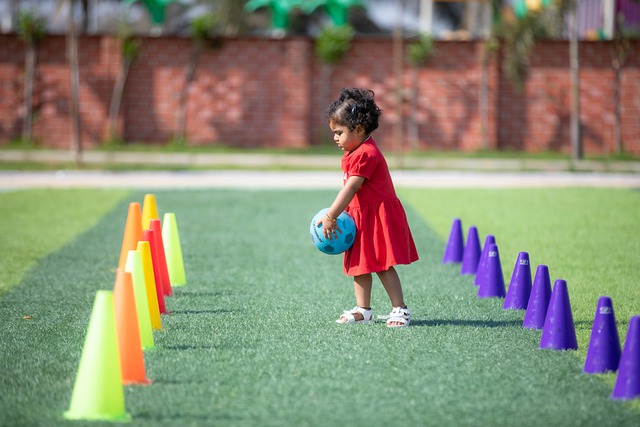 的排位和竞 的排位和竞