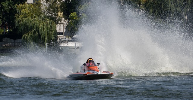 体协调性 体协调性